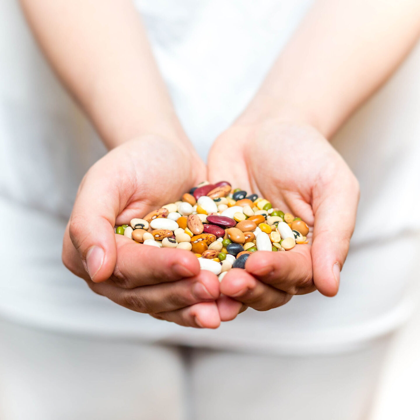 Les légumineuses : un trésor à (re)découvrir