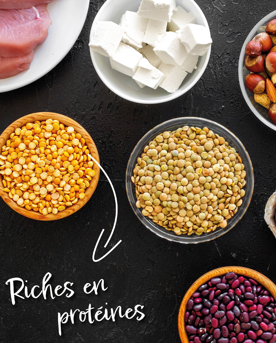 Légumineuses riches en protéines