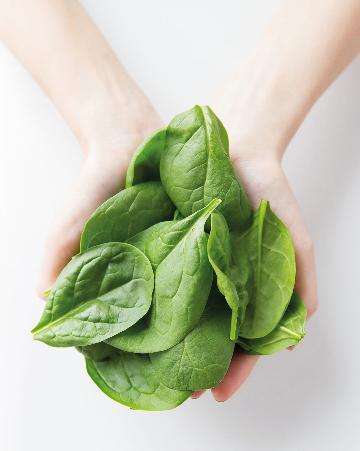 Mains tenant une poignée de feuilles d’épinards frais sur fond blanc