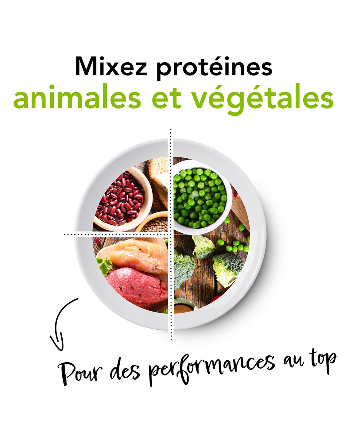 Assiette divisée montrant des protéines animales et végétales pour des performances sportives optimales