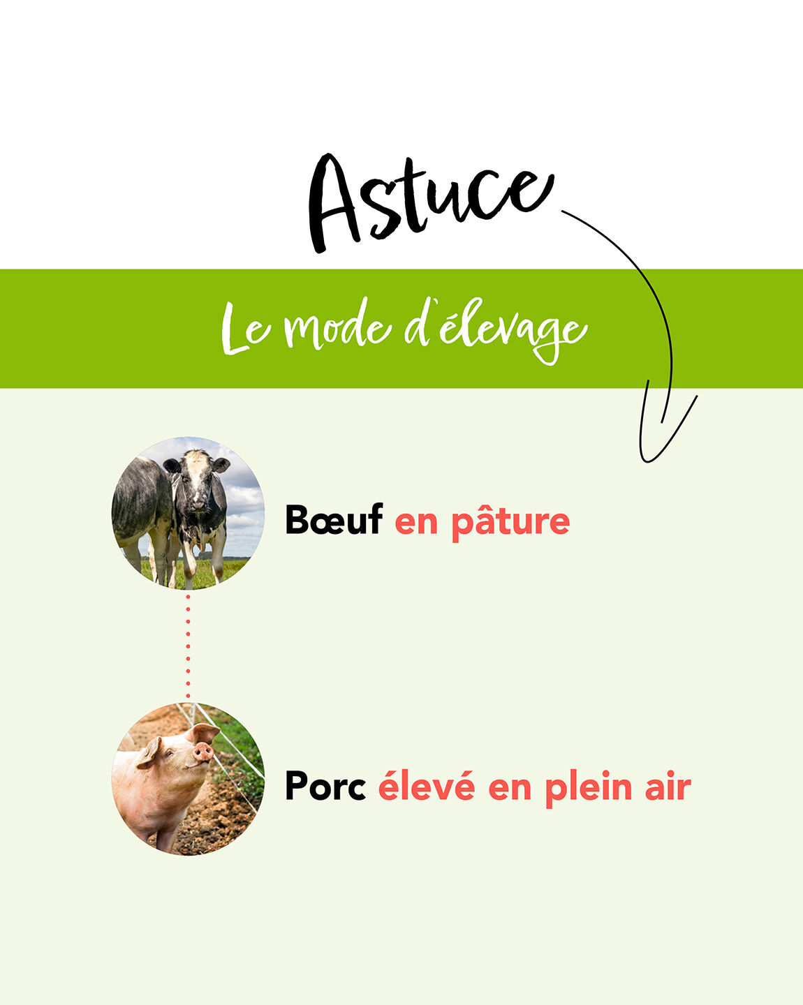 Astuce pour le mode d’élevage : bœuf en pâture et porc élevé en plein air