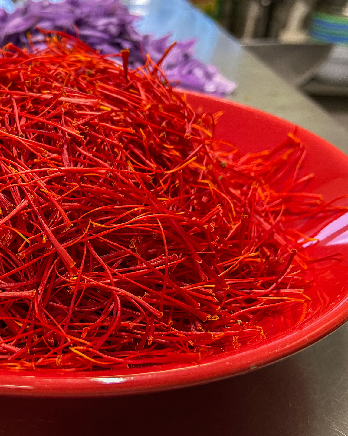 Pistils de safran fraîchement récoltés dans une assiette rouge, avec des pétales de fleurs en arrière-plan.
