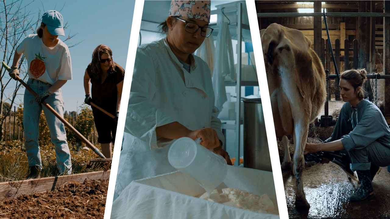 Coopérative du Grand-Enclos