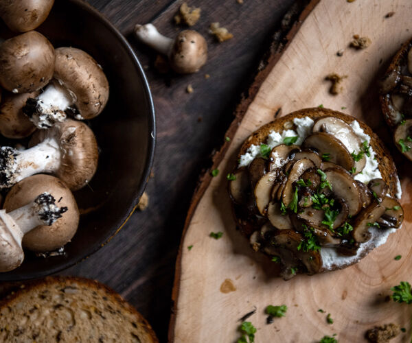 toast chèvre fromage fines herbes champignons