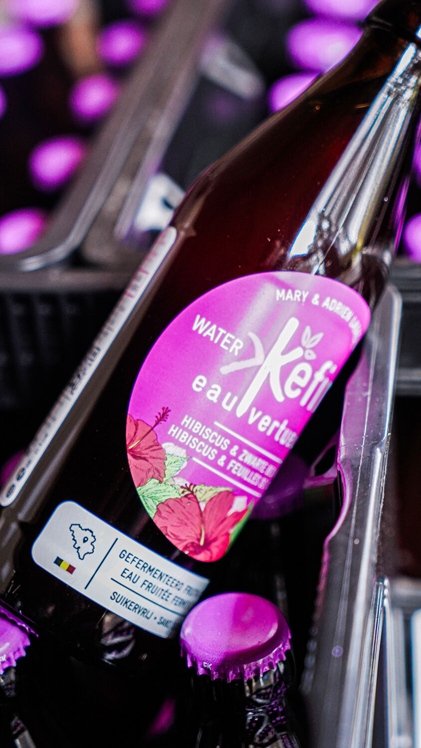 Kéfir hibiscus