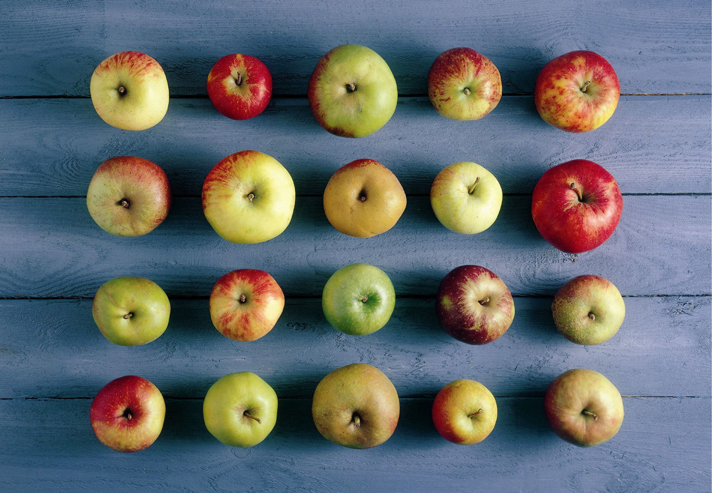 variétés pommes jonagold cox orange pippin elstar jonagored gala belle boskoop braeburn