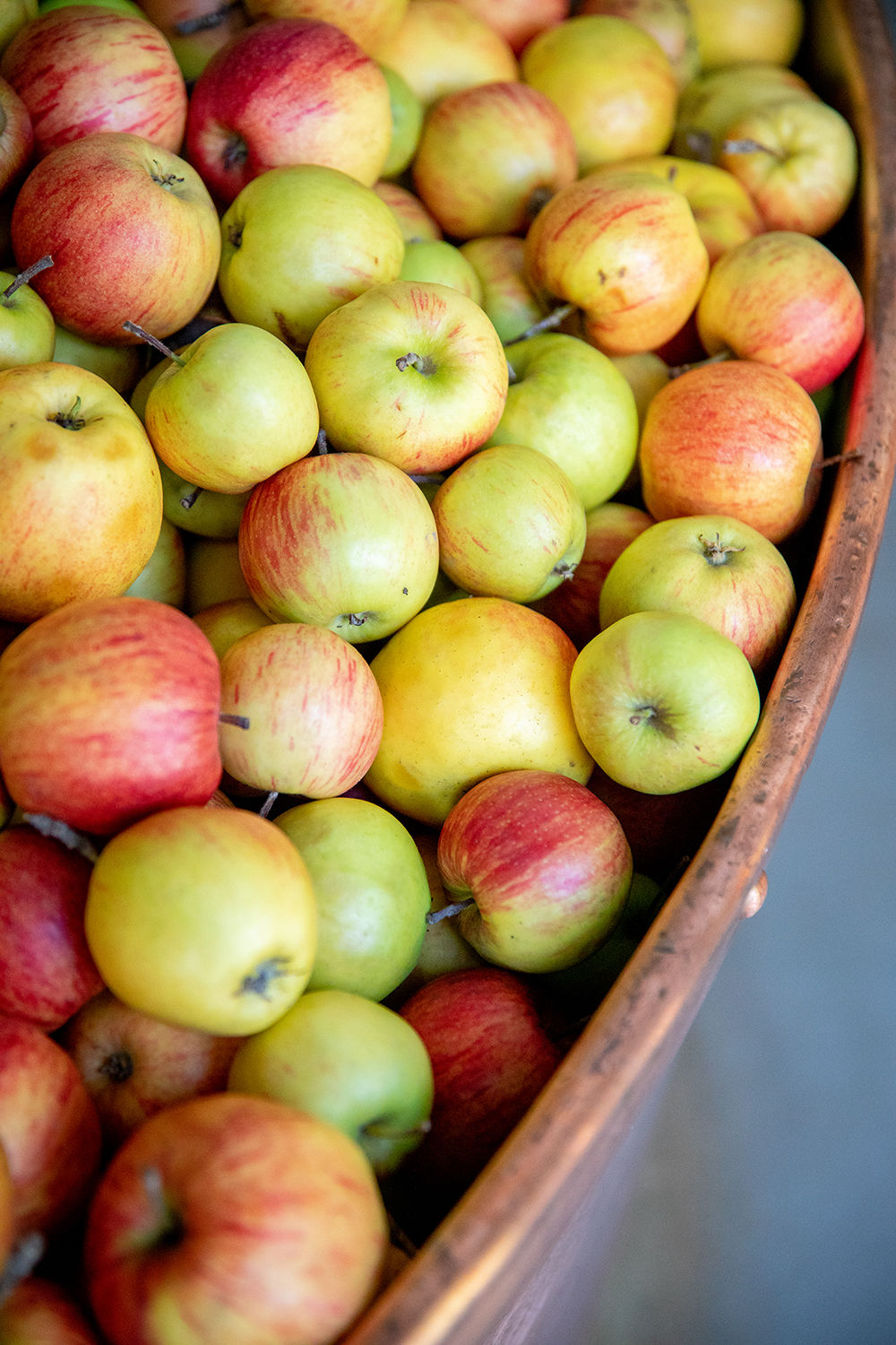 cuve pommes siroperie