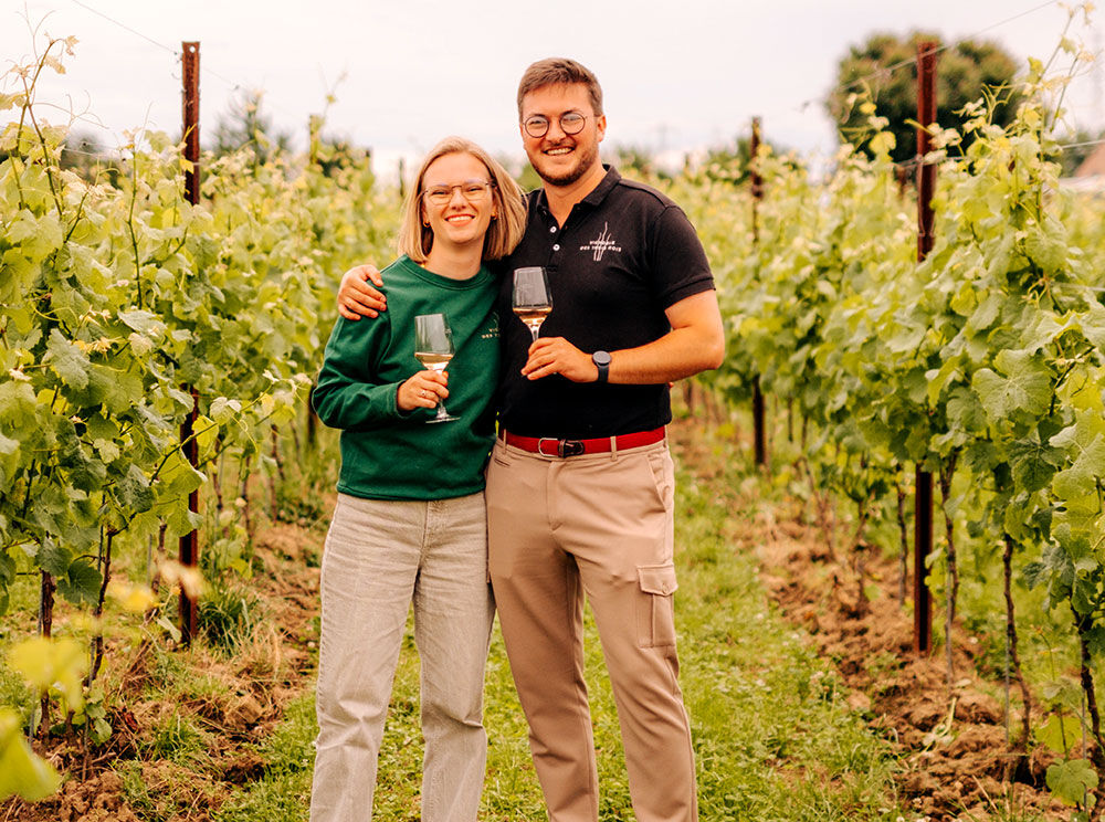 Vignoble des Trois Rois